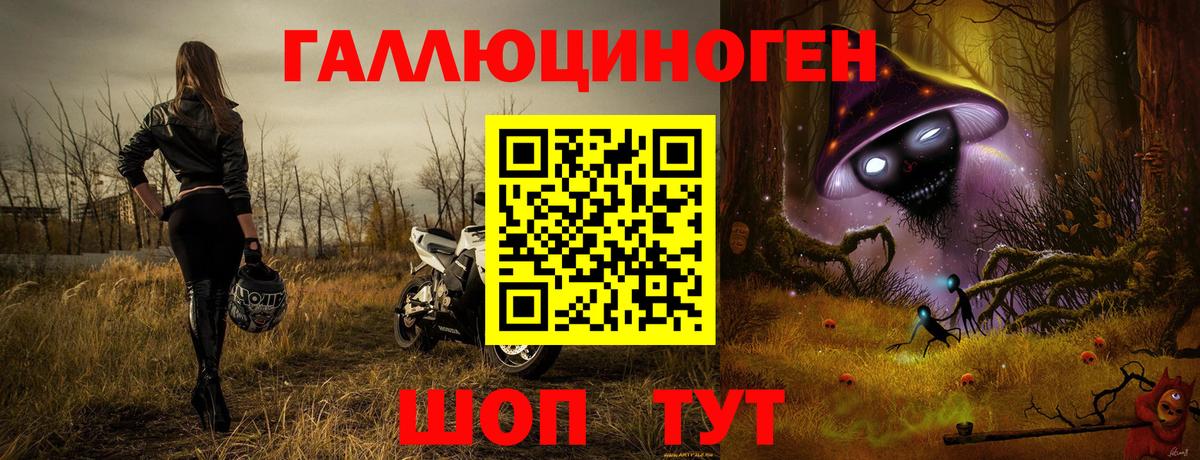 Коркино  даркнет сайт  Вход с VPN  Галлюциногенные грибы Psilocybe 